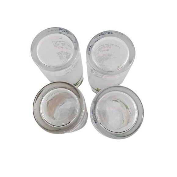 Celebrity Cruises Orchids Frosted High Ball Glasses Drink Recipe – Set of 4 - Picture 11 of 16